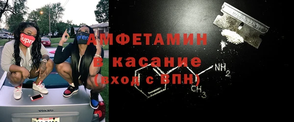 прущие грибы Аркадак