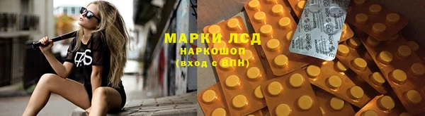 эйфоретик Елизово