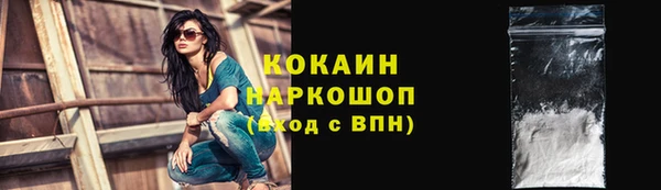 прущие грибы Аркадак