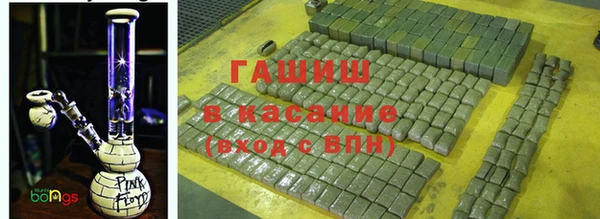 прущие грибы Аркадак