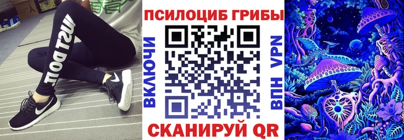 Псилоцибиновые грибы мицелий  Багратионовск 